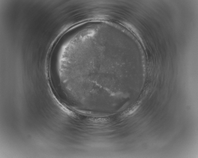 X0000074030851200609181925