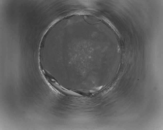 X0000074030853200609181925