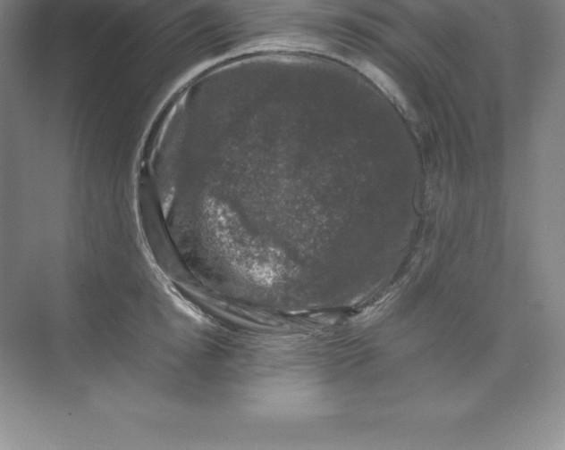 X0000074030854200609181925