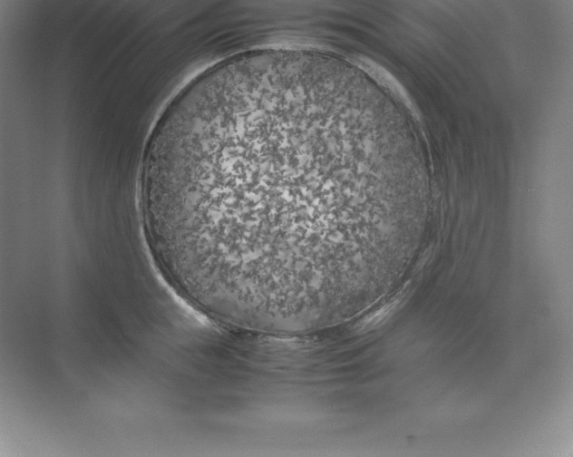 X0000074030855200609181925