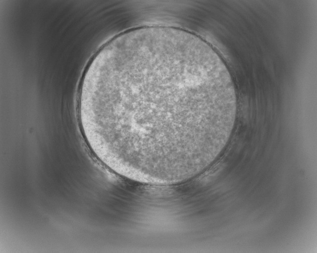 X0000074030856200609181925