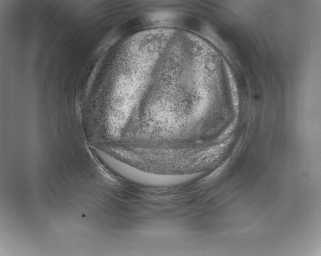 X0000074030857200609181925