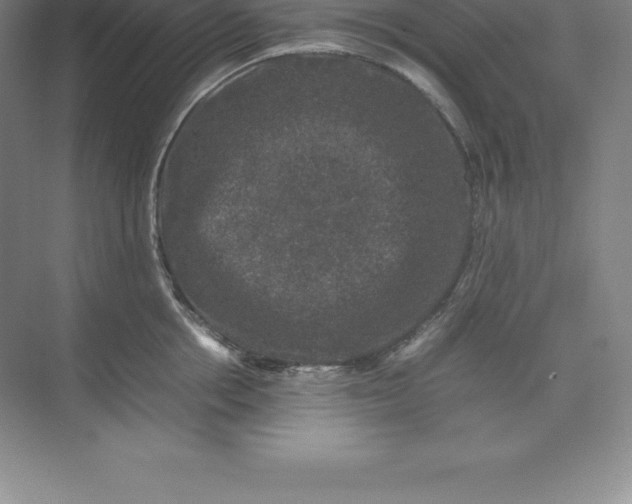 X0000074030858200609181925