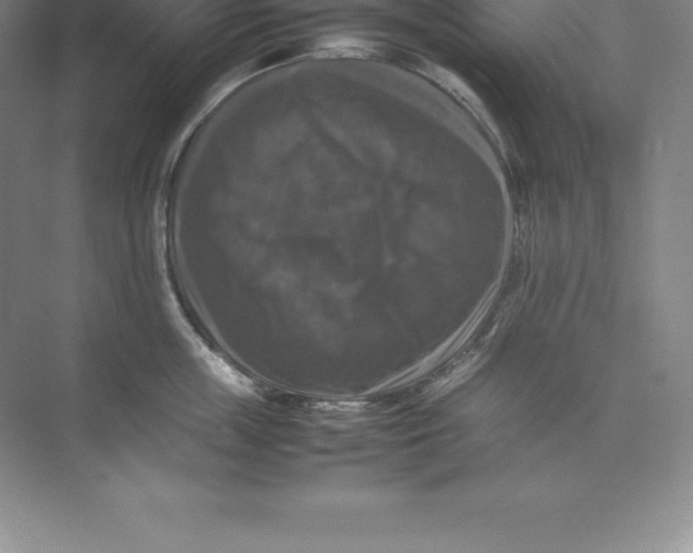 X0000074030859200609181925