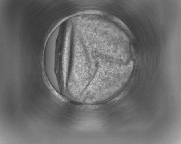 X0000074030860200609181925