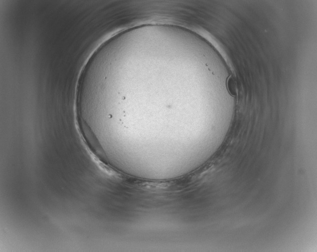 X0000074030861200609181925