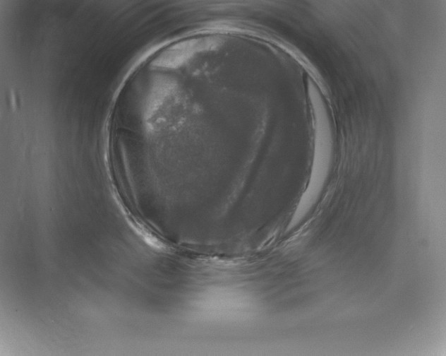 X0000074030862200609181925