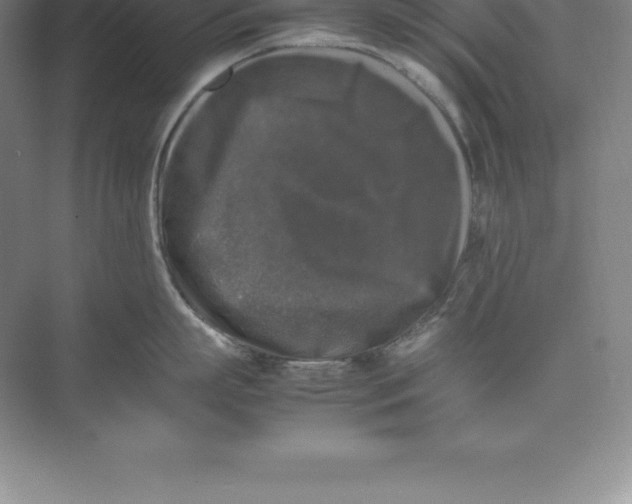 X0000074030863200609181925