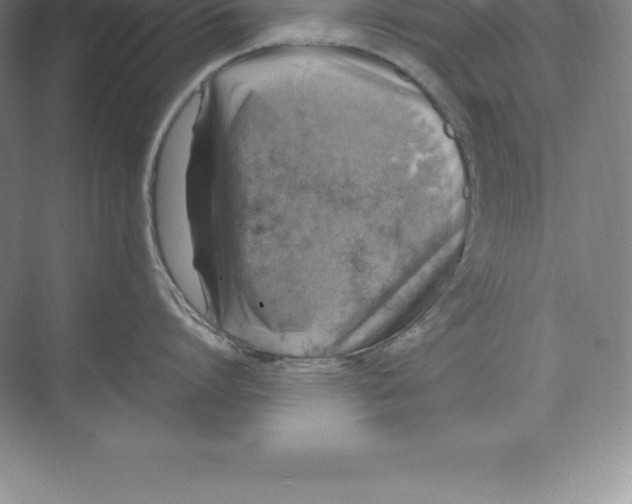 X0000074030864200609181925