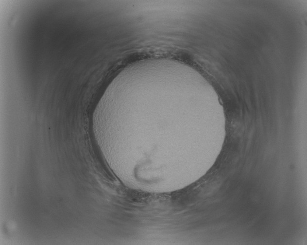 X0000074030865200609181924