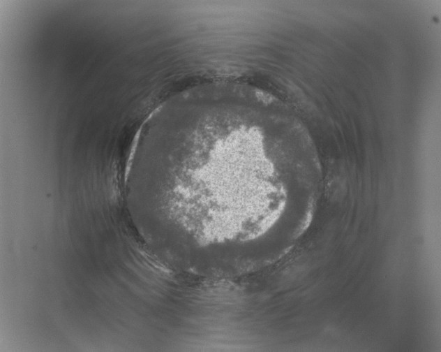 X0000074030866200609181924