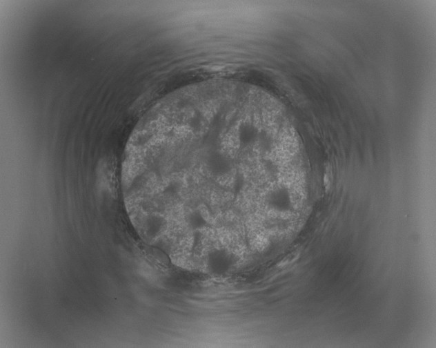 X0000074030867200609181924