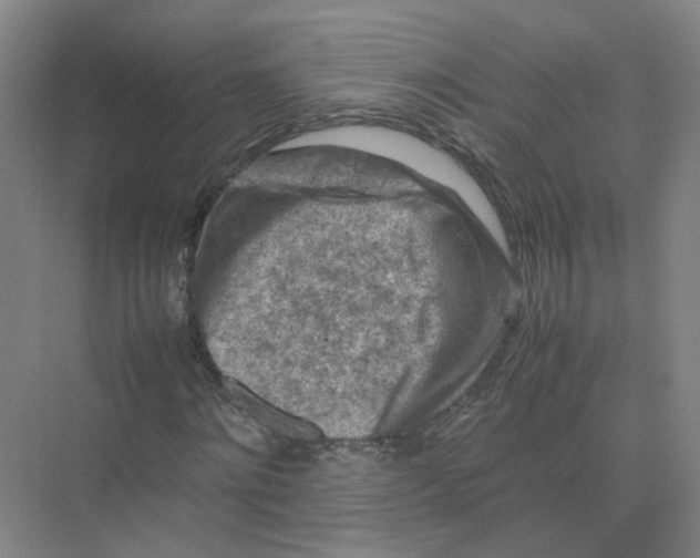 X0000074030868200609181924