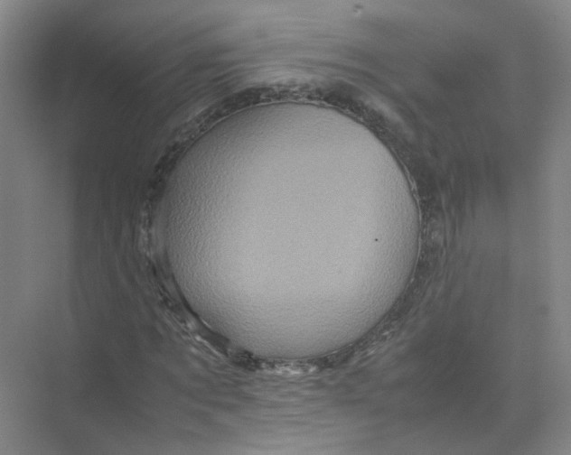 X0000074030869200609181924