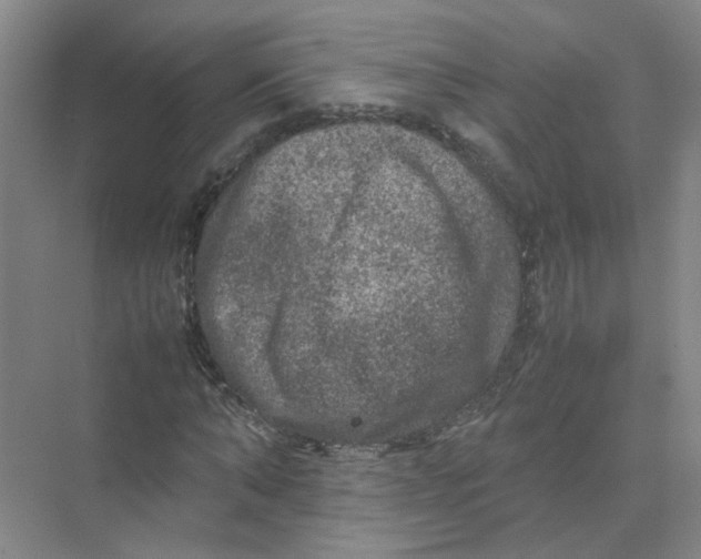 X0000074030870200609181924