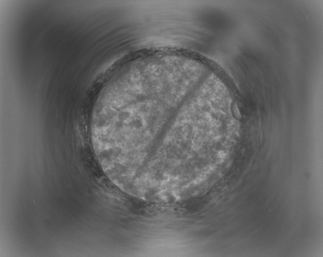 X0000074030871200609181924