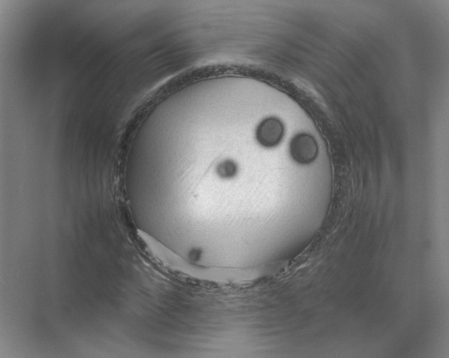 X0000074030872200609181924