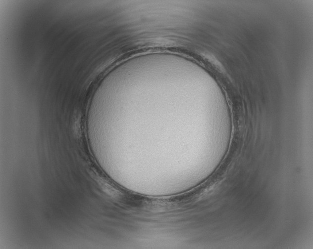 X0000074030873200609181924