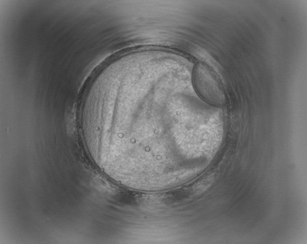 X0000074030875200609181924