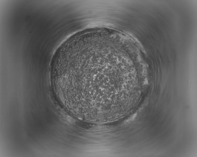 X0000074030877200609181924