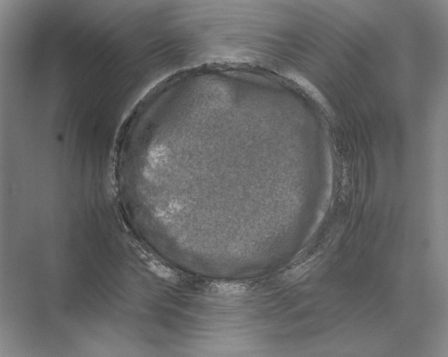 X0000074030878200609181924