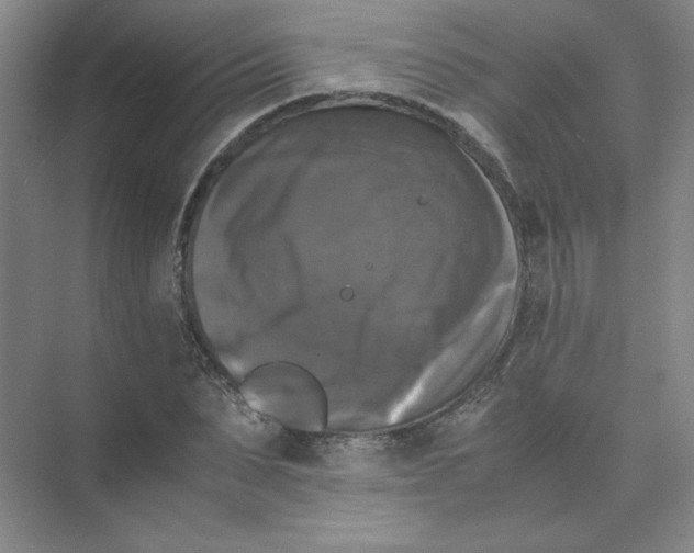 X0000074030879200609181924