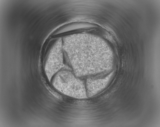 X0000074030880200609181924