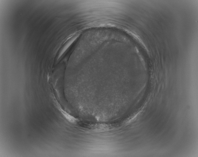 X0000074030881200609181924