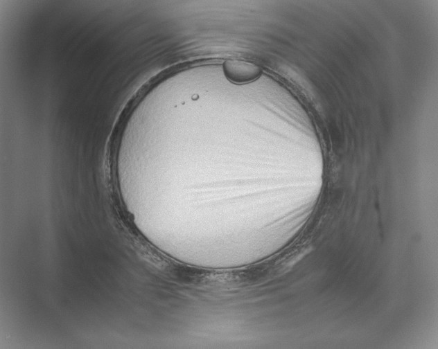 X0000074030883200609181924