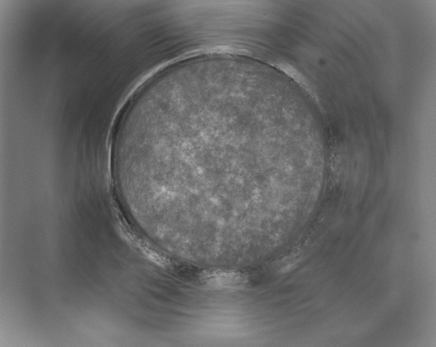 X0000074030886200609181924