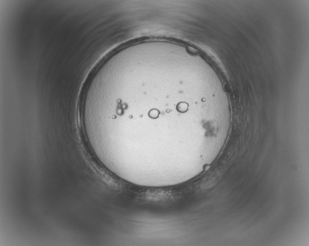 X0000074030887200609181924