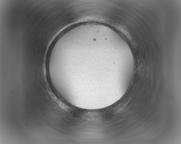 X0000074030888200609181924