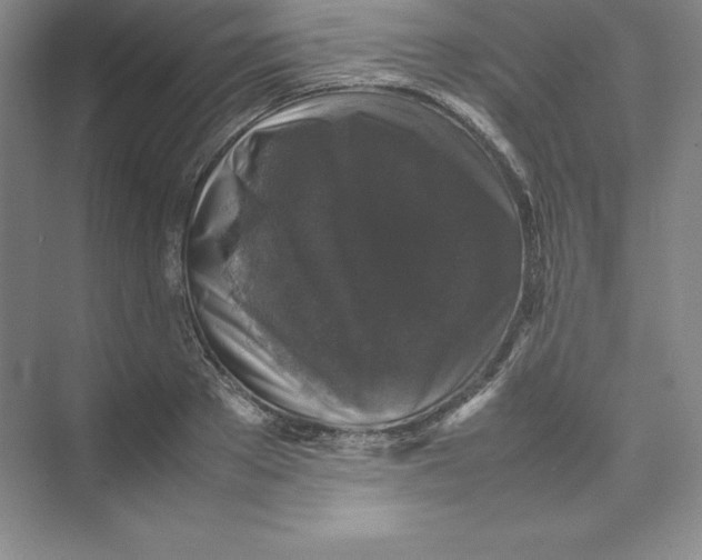 X0000074030889200609181924