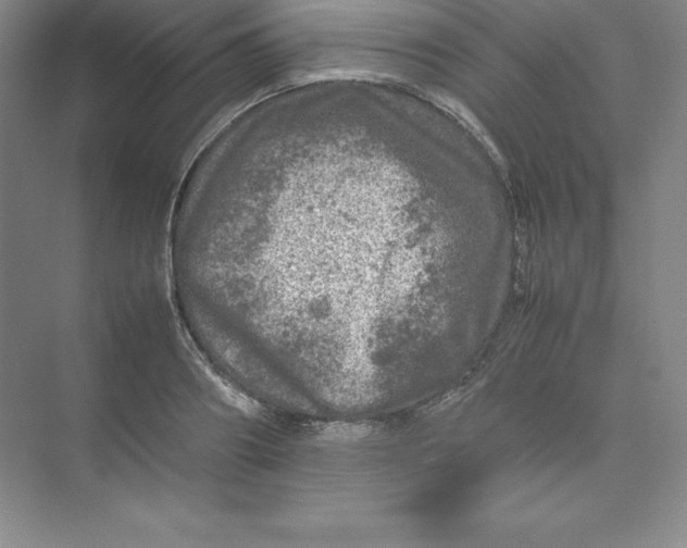 X0000074030890200609181924