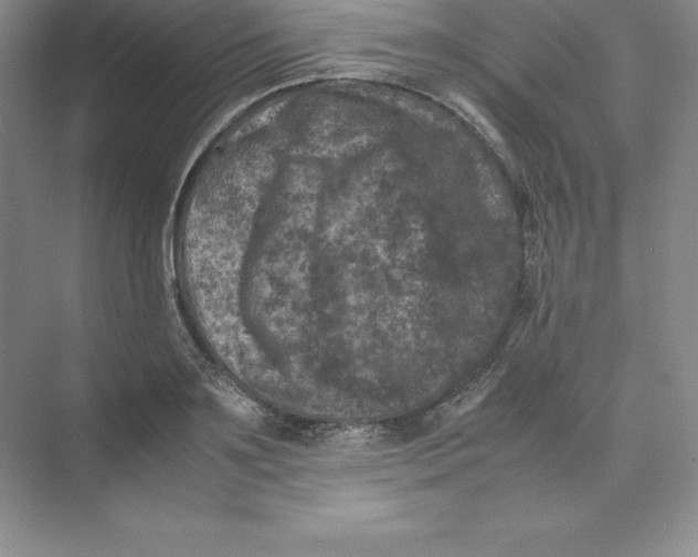 X0000074030891200609181924