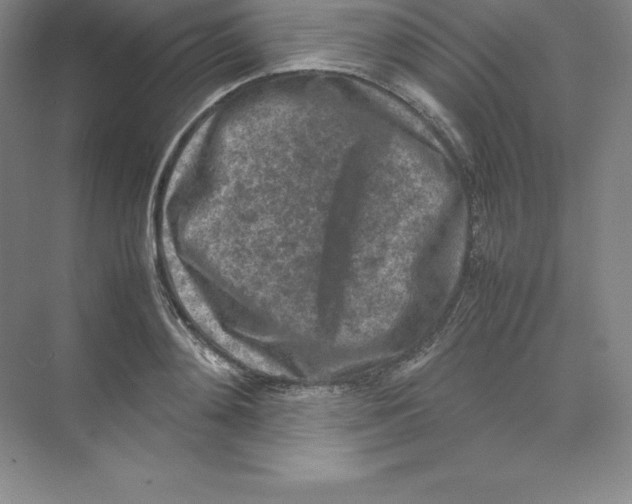 X0000074030892200609181924