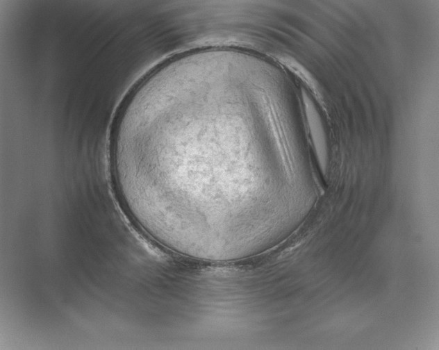 X0000074030894200609181924