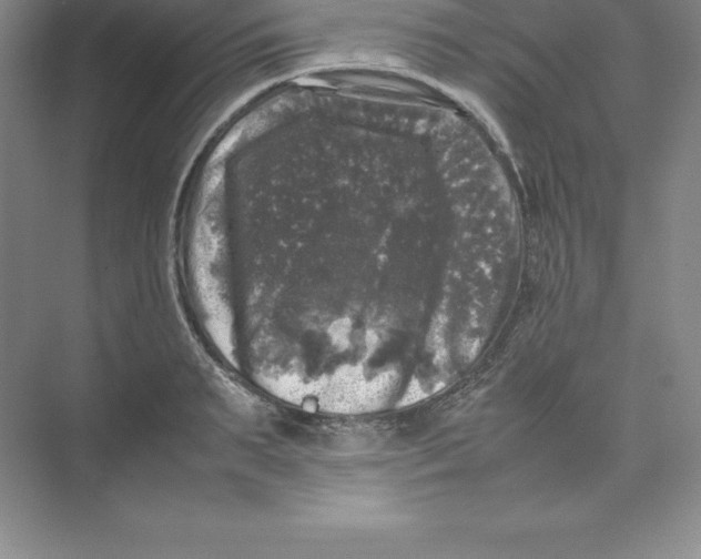 X0000074030895200609181924