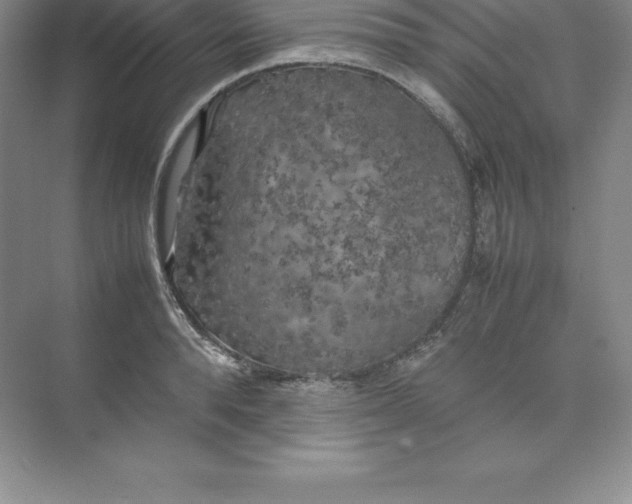 X0000074030896200609181924