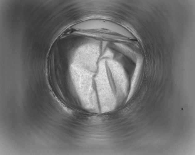 X0000074030898200609181923