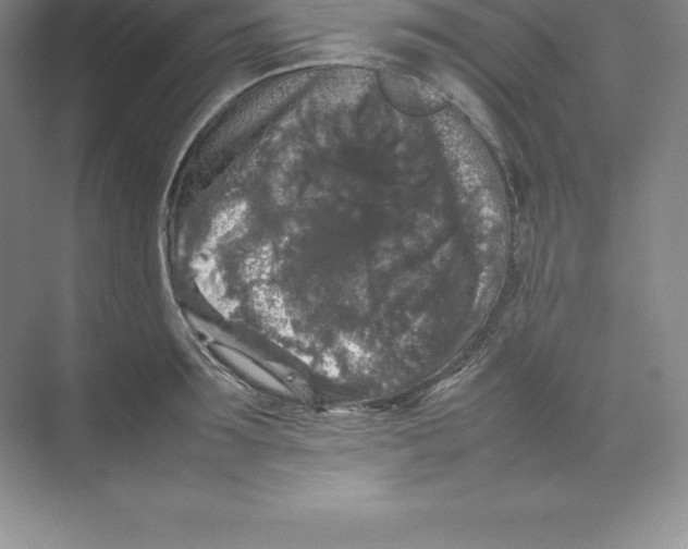 X0000074030899200609181923