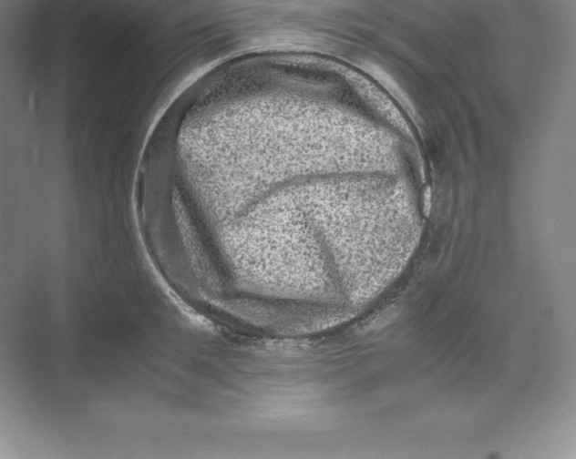 X0000074030901200609181923