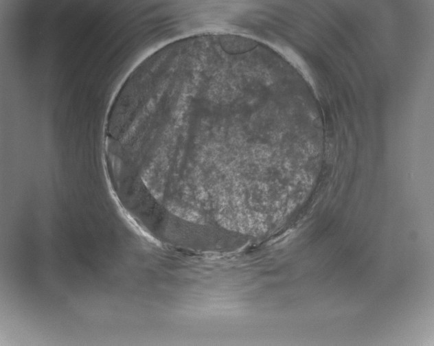 X0000074030903200609181923