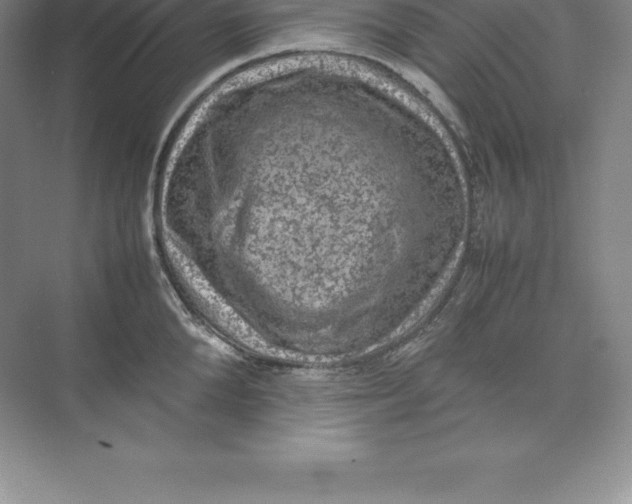 X0000074030904200609181923