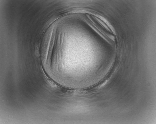 X0000074030905200609181923