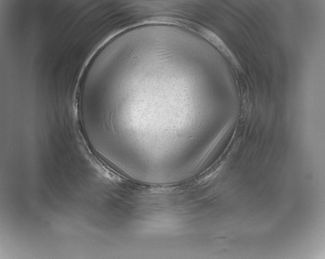 X0000074030908200609181923