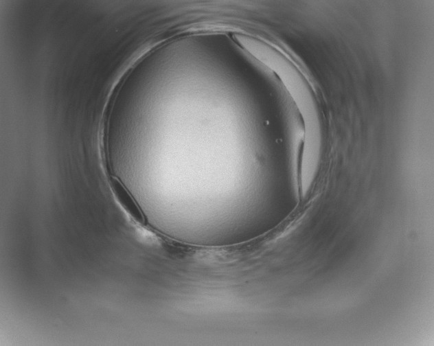 X0000074030909200609181923