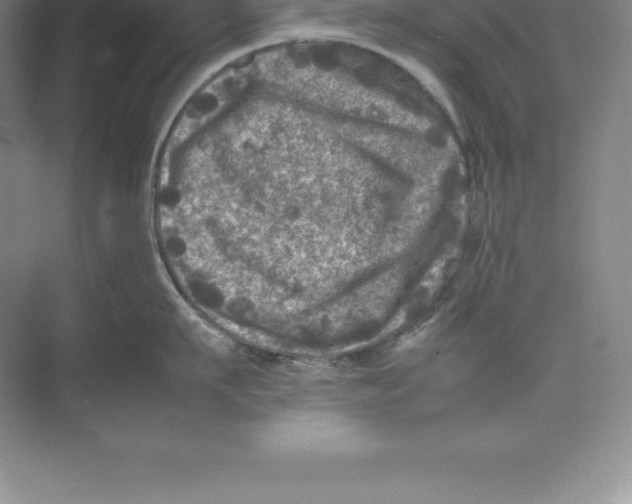 X0000074030911200609181923