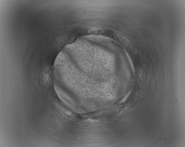 X0000074030914200609181922