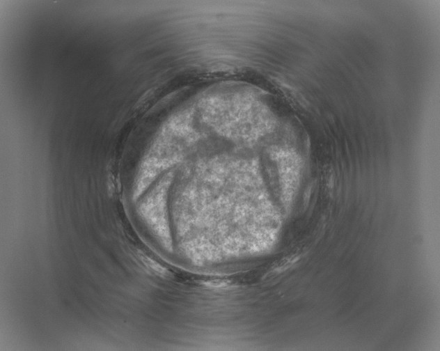 X0000074030916200609181922